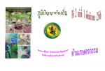 ภูมิปัญญาท้องถิ่น 66
